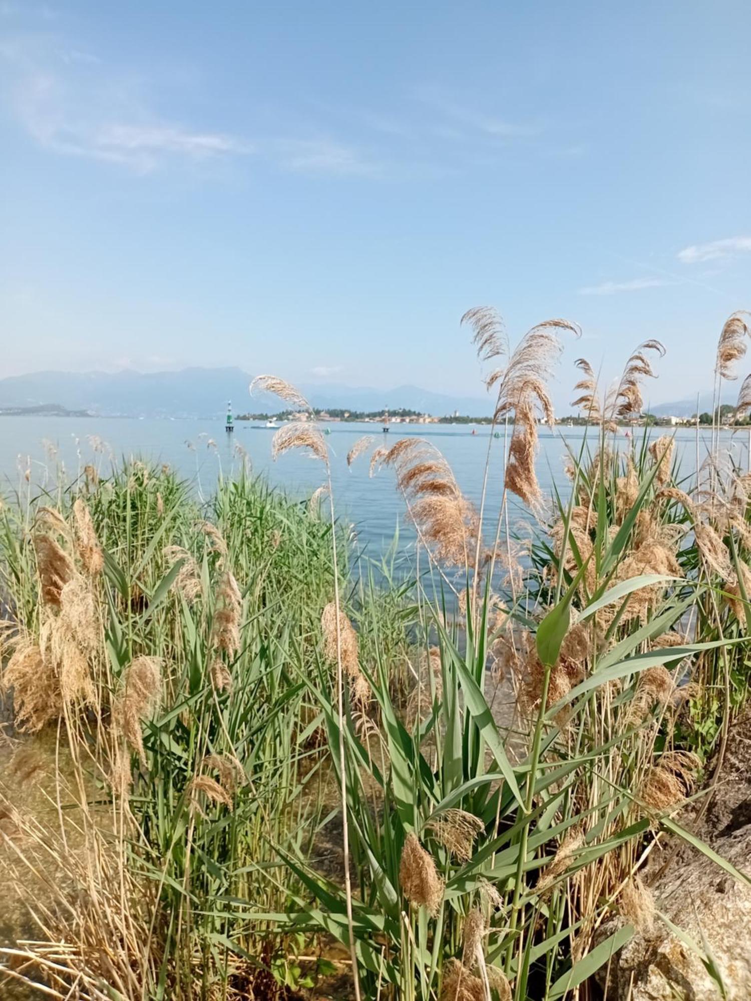 Miragarda Sirmione Lägenhet Exteriör bild