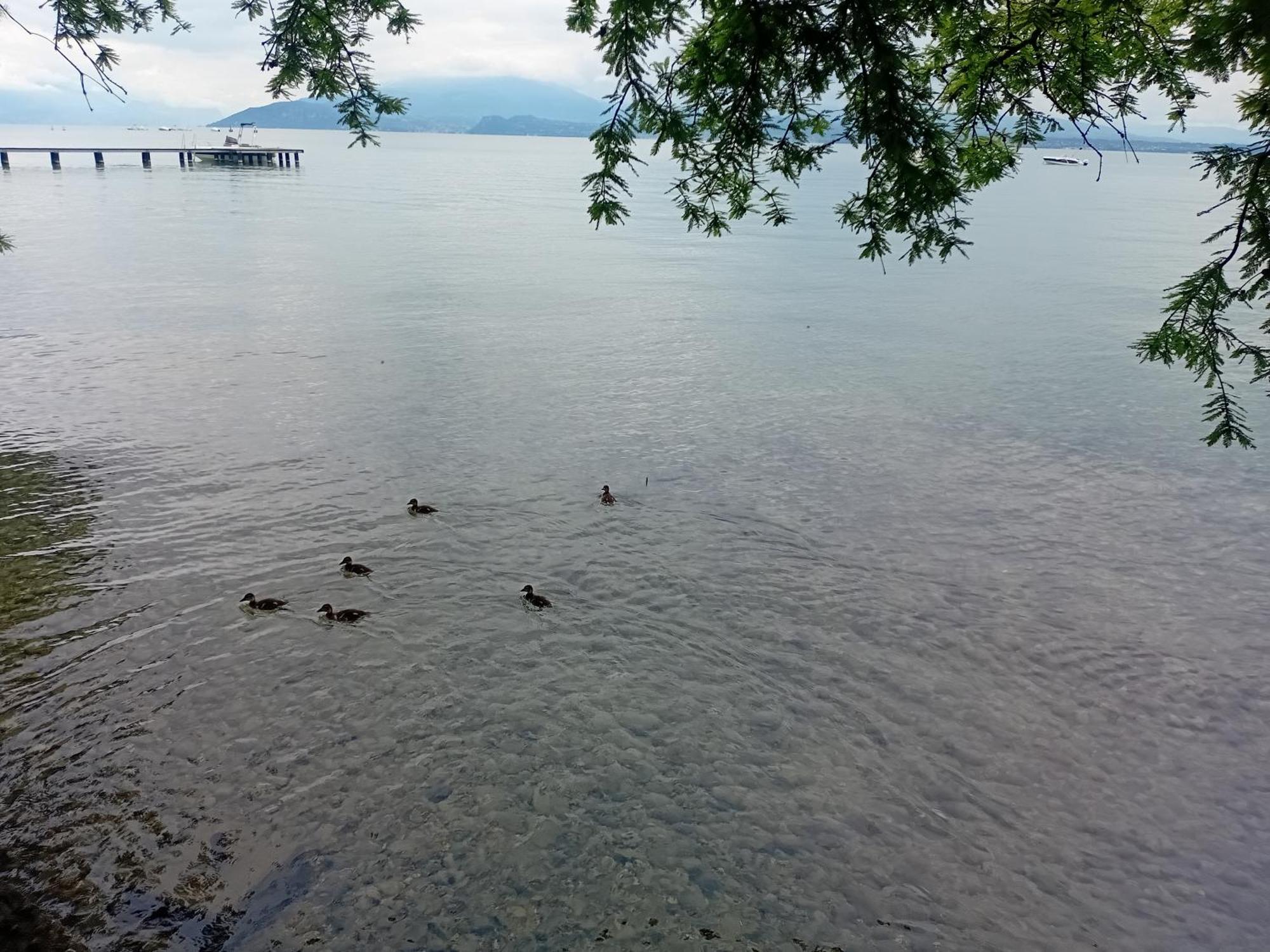 Miragarda Sirmione Lägenhet Exteriör bild